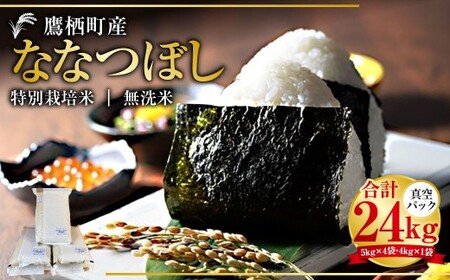 yߘa7NYz ȂȂڂ iāj ^pbN 24kg kC 鐲 ^t@[  R     ȂȂڂ R 