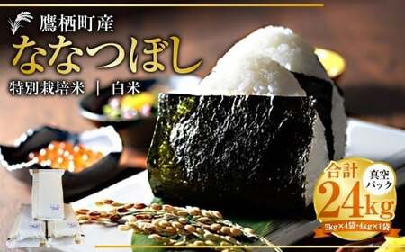 yߘa7NYz ȂȂڂ iāj ^pbN 24kg kC 鐲 ^t@[  R     ȂȂڂ R 