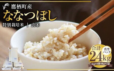 [令和7年産] ななつぼし (玄米) 真空パック 24kg 北海道 鷹栖町 たかすタロファーム 米 コメ こめ ご飯 玄米 お米 ななつぼし コメ 玄米