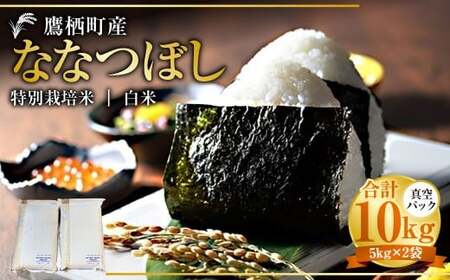 yߘa7NYz ȂȂڂ iāj ^pbN 5kg×2 10kg kC 鐲 ^t@[  R     ȂȂڂ R