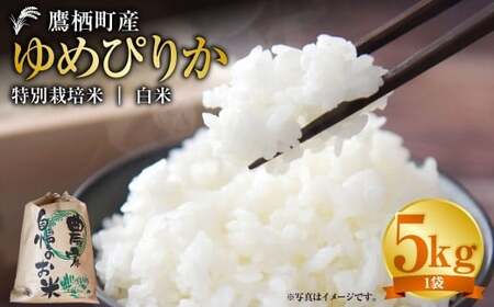 yߘa7NYz ߂҂肩 iāj 5kg kC 鐲 ^t@[  R     ߂҂肩 R 