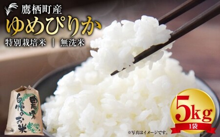 yߘa7NYz ߂҂肩 iāj 5kg kC 鐲 ^t@[  R     ߂҂肩 