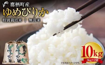 yߘa7NYz ߂҂肩 iāj 5kg×2 kC 鐲 ^t@[  R     ߂҂肩 