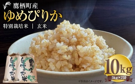 yߘa7NYz ߂҂肩 iāj 5kg×2 kC 鐲 ^t@[  R     ߂҂肩 R 