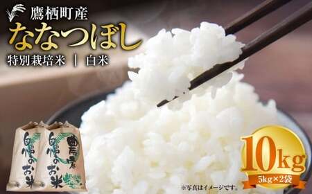 yߘa7NYz ȂȂڂ iāj 5kg×2 kC 鐲 ^t@[  R     ȂȂڂ R 