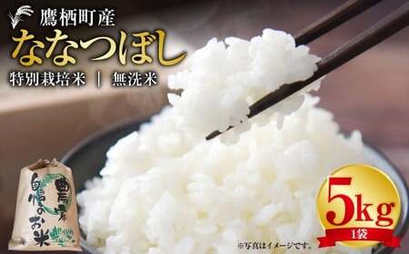 [令和7年産] ななつぼし (無洗米) 5kg 北海道 鷹栖町 たかすタロファーム 米 コメ こめ ご飯 無洗米 お米 ななつぼし 無洗米