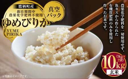 A247 yߘa7NYz ߂҂肩 i  j ͔|Ԓ_򉻊w엿sgp ^pbN 5kg×2 ^t@[ kC 鐲  R   