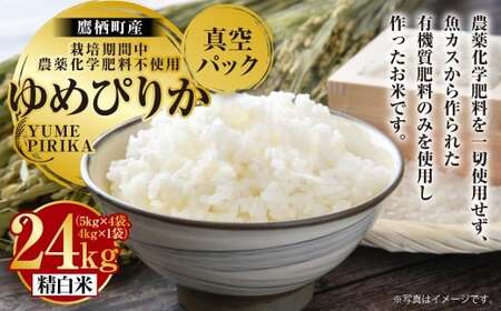 A248 yߘa7NYz ߂҂肩 i  j ͔|Ԓ_򉻊w엿sgp ^pbN 24kg ^t@[ kC 鐲  R    