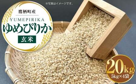 A164 yߘa7NYz ߂҂肩 i  j 5kg×4 20kg kC 鐲 ^t@[  R   