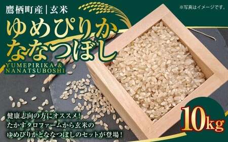 A166 yߘa7NYz ߂҂肩 ȂȂڂ i  j e10kg kC 鐲 ^t@[  R   