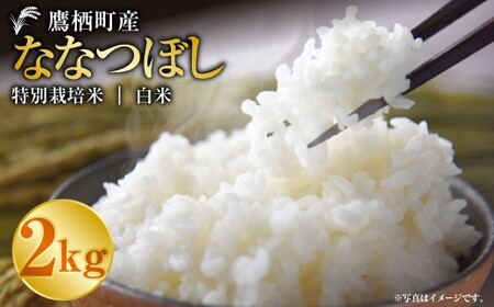 �y�ߘa7�N�Y�z �ȂȂڂ��i���āj 2kg ���� �� �R�� ���� ���� ������ ��H ���� ���͂�  ������ �퉷 �k�C�� �鐲��