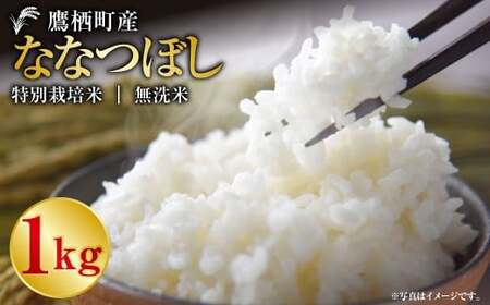 �y�ߘa7�N�Y�z �ȂȂڂ��i�����āj 1kg ���� �� �R�� ������ ���� ��H ���� ���͂�  ������ �퉷 �k�C�� �鐲��