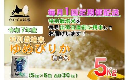 [6回定期便] [令和7年産] ゆめぴりか (精白米) 5kg×6回 合計30kg | たかすのお米 米 コメ こめ ご飯 北海道 鷹栖町