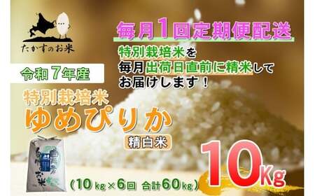【6回定期便】 【令和7年産】 ゆめぴりか （精白米） 10kg×6回 合計60kg ｜ 北海道 鷹栖町 たかすのお米 米 コメ こめ ご飯