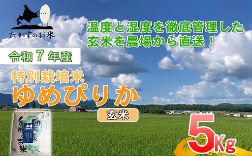 [令和7年産] ゆめぴりか (玄米) 5kg 北海道 鷹栖町 たかすのお米 米 コメ こめ ご飯