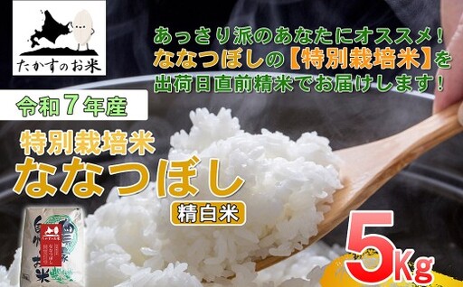 [ 令和7年産 ] ななつぼし ( 精白米 ) 北海道 米 定番の品種 5kg 北海道 鷹栖町 たかすのお米 コメ こめ ご飯