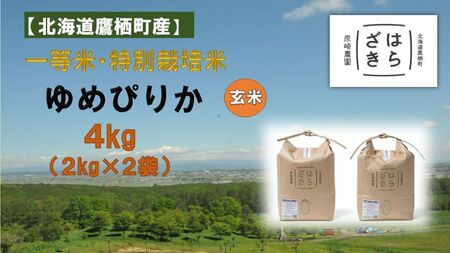 A114[令和6年産]一等米・特別栽培米 4kg[ゆめぴりか玄米]2kg×2(農薬7割減)北海道 鷹栖町 原崎農園