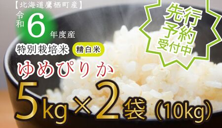 A116 　先行予約 【 令和6年産 】 ゆめぴりか （ 白米 ） 特Aランク  5㎏×2袋 北海道 鷹栖町 たかすタロファーム 米 コメ こめ ご飯 白米 お米 ゆめぴりか コメ白米 白米 白米 白米 白米 白米 白米 白米 白米 白米 白米 白米 白米 白米 白米 白米 白米 白米 白米 白米 白米 白米 白米 白米 白米 白米 白米 白米 白米 白米 白米 白米 白米 白米 白米 白米 白米 白米 白米 白米 白米 白米 白米 白米 白米 白米 白米 白米 白米 白米 白米 白米 白米 白米 白米 白米 白米 白米 白米 白米 白米 白米 白米 白米 白米 白米 白米 白米 白米 白米 白米 白米 白米 白米 白米 白米 白米 白米 白米 白米 白米 白米 白米 白米 白米 白米 白米 白米 白米 白米 白米 白米 白米 白米 白米 白米 白米 白米 白米 白米 白米 白米 白米 白米 白米 白米 白米 白米 白米 白米 白米 白米 白米 白米 白米 白米 白米 白米 白米 白米 白米 白米 白米 白米 白米