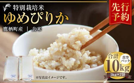 【令和7年産】 ゆめぴりか （玄米） 真空パック 5kg×2袋 10kg 北海道 鷹栖町 たかすタロファーム 米 コメ こめ ご飯 玄米 お米 ゆめぴりか コメ 玄米 【2025年9月下旬より発送開始】