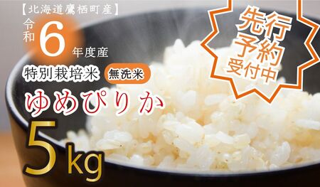 A194 先行予約 【 令和6年産 】 ゆめぴりか （ 無洗米 ） 特Aランク 5kg 北海道 鷹栖町 たかすタロファーム 米 コメ こめ ご飯 白米 お米 ゆめぴりか 無洗米無洗米無洗米無洗米 無洗米無洗米無洗米無洗米無洗米無洗米無洗米無洗米無洗米無洗米無洗米無洗米無洗米無洗米無洗米無洗米無洗米無洗米無洗米無洗米無洗米無洗米無洗米無洗米無洗米無洗米無洗米無洗米無洗米無洗米無洗米無洗米無洗米