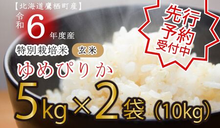 A197　【先行予約】令和６年産たかすタロファームゆめぴりか（ゆめぴりか玄米・5kg×２袋）