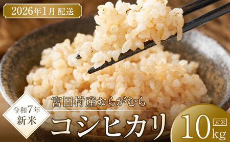 【予約受付】【令和６年米】【新米】長野県産　減農薬栽培コシヒカリ／玄米／10kg・9,000円／令和7年1月配送