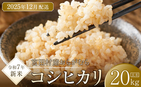 【予約受付】【令和６年米】【新米】長野県産　減農薬栽培コシヒカリ／玄米／20kg・16,000円／12月配送