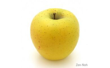 季節のりんご『シナノゴールド』(5kg)(予約制)[ りんご りんご りんご りんご りんご りんご ]