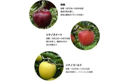 季節のりんご『お任せコース』(5kg)(予約制)[ りんご りんご りんご りんご りんご りんご ]