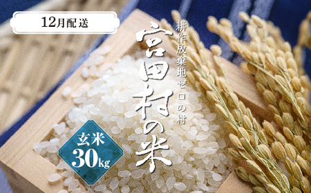 【予約受付】【令和５年米】【新米】長野県産　減農薬栽培コシヒカリ／玄米／30kg・20,000円／12月配送