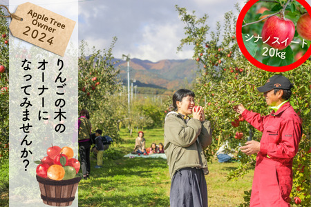 24A りんごの木のオーナー(シナノスイート)[20kg限定]