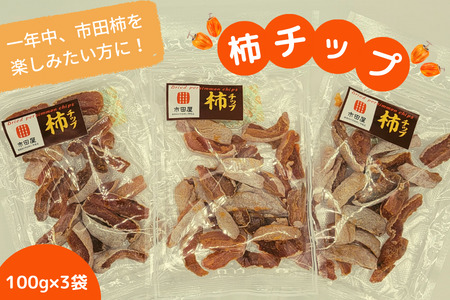 24A 市田柿 柿チップ(100g×3袋)