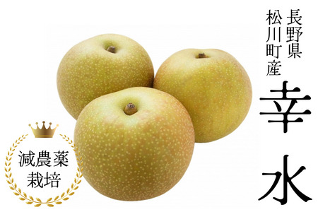 梨 幸水 約5kg 減農薬栽培 秀品/2026年8月中旬頃から配送予定 // 梨 ナシ なし 幸水 減農薬栽培 農家直送 農家支援 長野県 松川町産