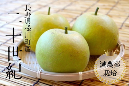 梨 二十世紀 約5kg 減農薬栽培 秀品/2026年9月上旬頃から配送予定 // 梨 ナシ なし 二十世紀 二十世紀梨 減農薬栽培 農家直送 農家支援 長野県 松川町産
