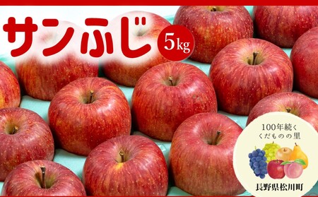 りんご サンふじ(松川町産)秀品 約5kg /2026年12月上旬頃〜12月中旬頃 配送予定 // 長野県 南信州 松川町 ギフト りんご リンゴ 林檎 サンふじ サンフジ 贈答