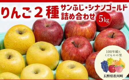 りんご2種 詰め合わせ サンふじ・シナノゴールド(松川町産)秀品 約5kg /2026年11月中旬〜11月下旬頃 配送予定 // 長野県 松川町 甘い 新鮮 りんご ふじ サンフジ シナノゴールド 黄色 詰め合わせ 贈答 食べ比べ