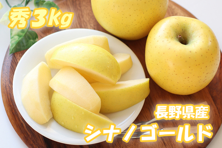 24A りんご シナノゴールド(長野県産秀品) 3kg/10月下旬〜11月下旬頃配送予定