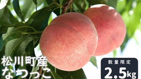 KM07 桃 なつっこ 中玉 約2.5kg以上（7～10玉）贈答 ／2026年8月上旬～8月中旬頃 発送予定｜長野県 南信州 松川町産 モモ もも  贈答 産地直送 新鮮 中玉 選べるサイズ KM