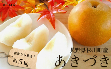 25A 梨 あきづき 約5kg(8〜14玉)松川町産 贈答 /9月下旬頃〜配送予定 // 長野県 南信州 松川町 和梨 梨 なし ナシ 約5kg あきづき 産地直送 農家直送 農家支援 贈答 果物 フルーツ