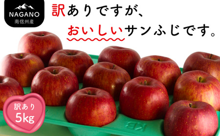 24A 南信州産 サンふじ りんご 訳あり 約5kg /12月中旬頃〜配送予定//長野県 さんふじ サンフジ ふじりんご 訳あり 訳アリ 家庭用