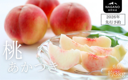 26A [先行予約] 桃 あかつき(長野県産秀品) 約3kg / 2026年7月中旬〜8月中旬頃 配送予定 // もも 長野県 南信州 モモ 贈答 ギフト 秀品 産地直送 甘い