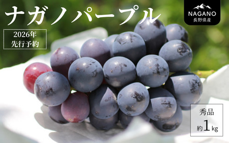 26A [先行予約] ぶどう ナガノパープル (長野県産秀品) 約1kg / 2026年8月下旬〜10月上旬頃 配送予定 // 種なし 皮ごと 葡萄 ブドウ ぶどう ナガノ パープル 南信州 長野県 オリジナル品種 稀少