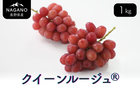 25A ぶどう クイーンルージュ®(長野県産秀品) 約1kg/2025年10月中旬〜11月中旬頃 配送予定 // 稀少 新品種 長野県 南信州 高糖度 葡萄 ブドウ 甘い 種なし 皮ごと