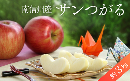 JA46-25A りんご サンつがる 約3kg / 2025年8月下旬～9月上旬ごろ配送予定 // 長野県 南信州 贈答 ギフト 新鮮 林檎 リンゴ サンツガル