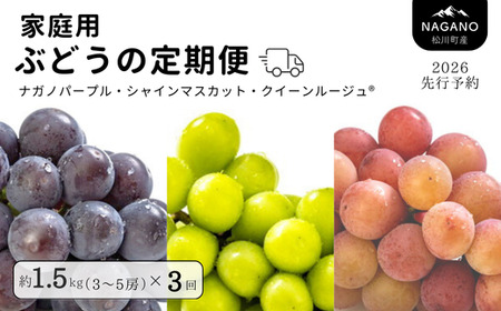 26A [先行予約]ぶどうの定期便[家庭用](ナガノパープル/シャインマスカット/クイーンルージュ🄬) 約1.5kg×3回 /2026年9月初旬頃〜10月初旬 配送予定 // 長野県 南信州 種なし 皮ごと 定期便 食べ比べ 贈答 ギフト 新鮮 希少 家庭用 訳あり