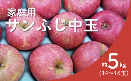 25A [年内配送] りんご サンふじ 家庭用[中玉] 約5kg(14〜16玉) / 11月下旬頃〜配送予定 // 長野県 南信州 リンゴ 林檎 ふじ さんふじ 訳あり 自家用 農家直送 農家支援 産地直送