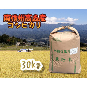 2025NYyMBXYzRVqJ30kg