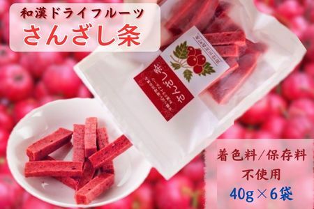 和漢ドライフルーツ「さんざし条」40g×6袋