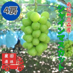 【南信州高森産】シャインマスカット 4房