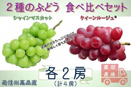 [数量限定]2種のぶどう(シャインマスカット・クイーンルージュ(R))食べ比べセット 計4房